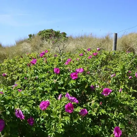 Weststrand, App 3 * Westerland